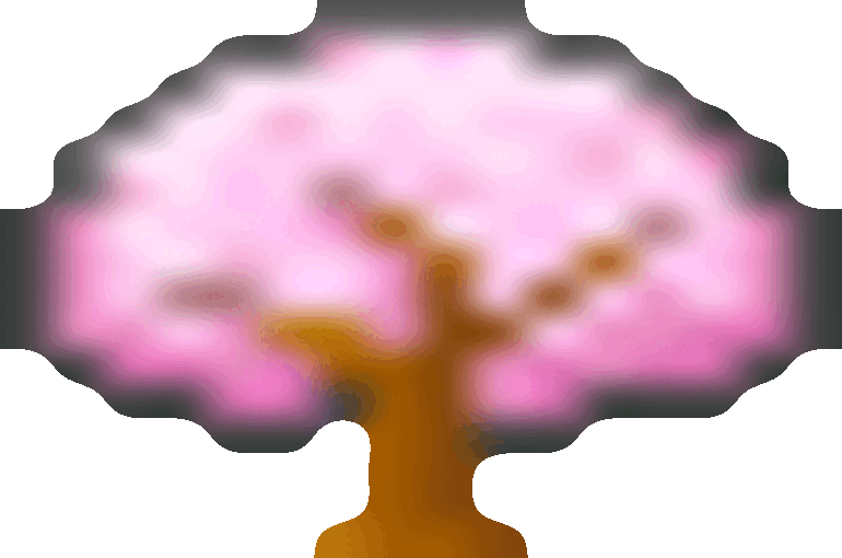cherryblossom