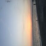 BB2638A1-D74D-4F81-AFF4-42935F2B8EFE